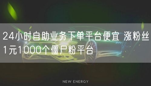 24小时自助业务下单平台便宜 涨粉丝1元1000个僵尸粉平台