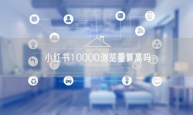 小红书10000浏览量算高吗