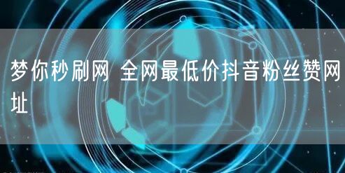 梦你秒刷网 全网最低价抖音粉丝赞网址