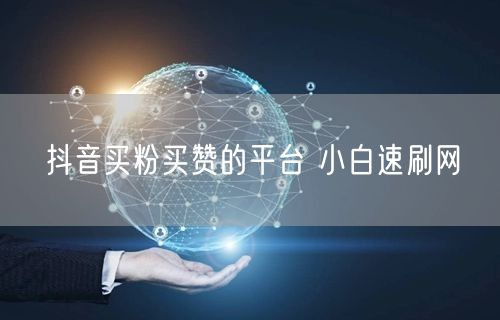 抖音买粉买赞的平台 小白速刷网