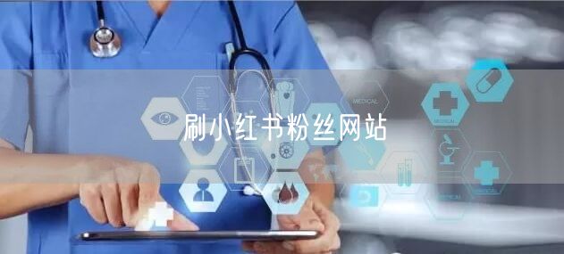 刷小红书粉丝网站