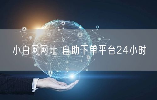 小白网网址 自助下单平台24小时