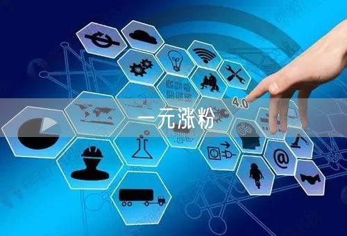 一元涨粉
