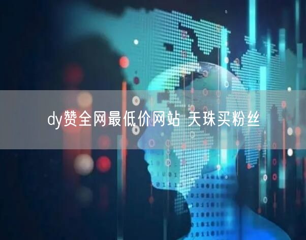 dy赞全网最低价网站 天珠买粉丝