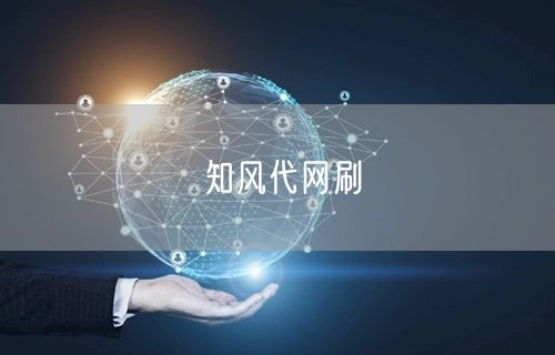 知风代网刷