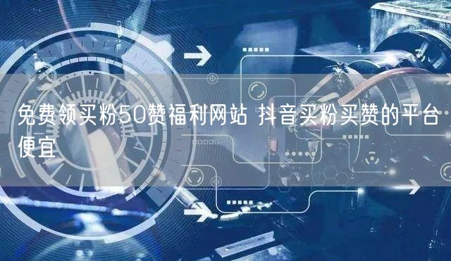 免费领买粉50赞福利网站 抖音买粉买赞的平台便宜