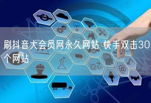 刷抖音大会员网永久网站 快手双击30个网站