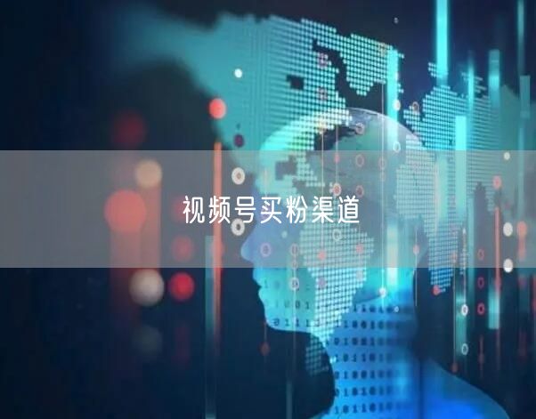 视频号买粉渠道