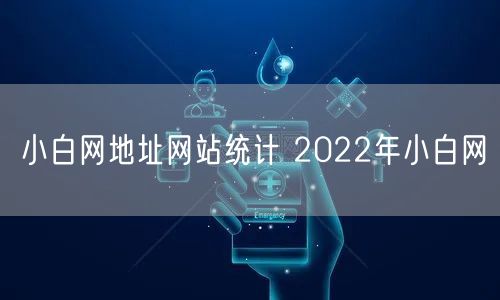 小白网地址网站统计 2022年小白网