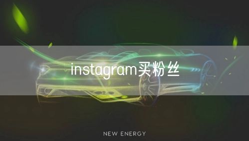 instagram买粉丝