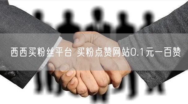 西西买粉丝平台 买粉点赞网站0.1元一百赞