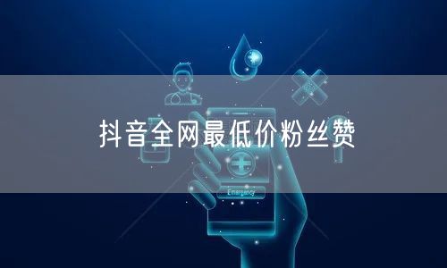抖音全网最低价粉丝赞