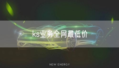 ks业务全网最低价
