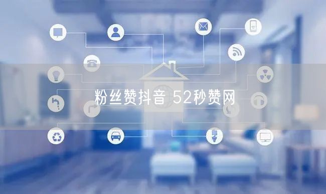 粉丝赞抖音 52秒赞网