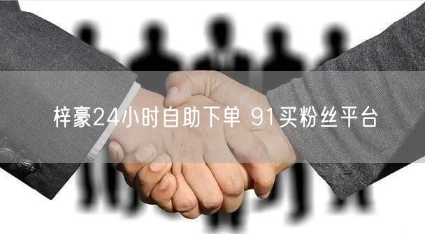 梓豪24小时自助下单 91买粉丝平台