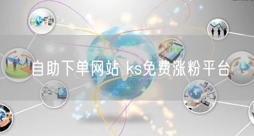 自助下单网站 ks免费涨粉平台