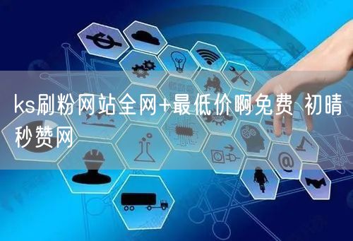 ks刷粉网站全网+最低价啊免费 初晴秒赞网