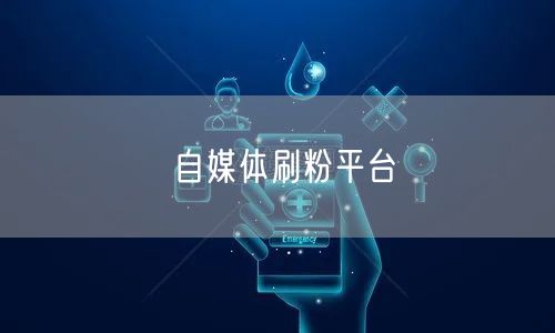 自媒体刷粉平台