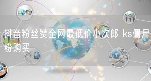抖音粉丝赞全网最低价小次郎 ks僵尸粉购买