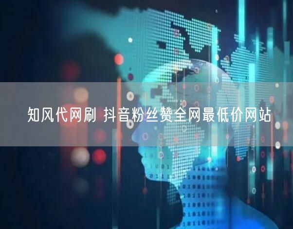 知风代网刷 抖音粉丝赞全网最低价网站
