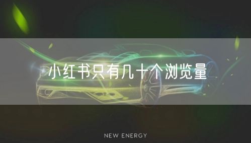 小红书只有几十个浏览量