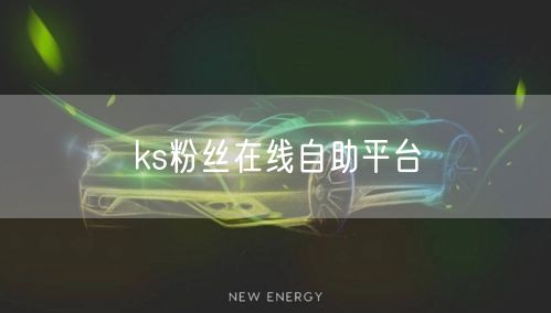 ks粉丝在线自助平台