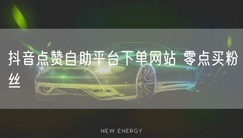 抖音点赞自助平台下单网站 零点买粉丝