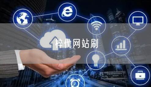 梓代网站刷