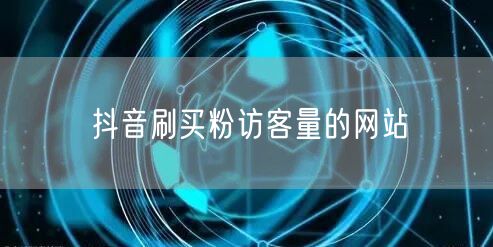 抖音刷买粉访客量的网站