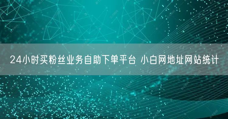 24小时买粉丝业务自助下单平台 小白网地址网站统计