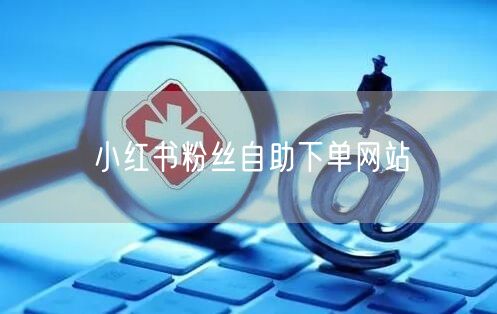 小红书粉丝自助下单网站