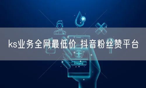 ks业务全网最低价 抖音粉丝赞平台