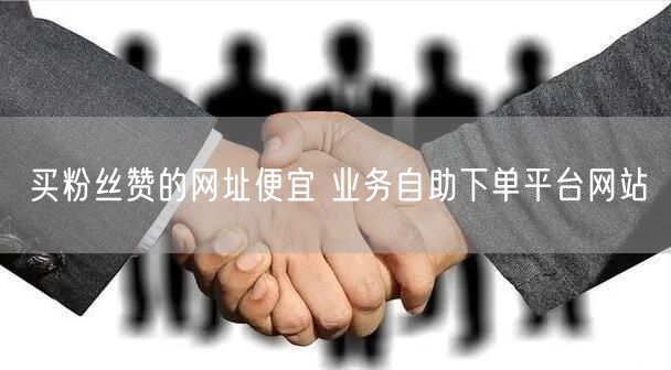 买粉丝赞的网址便宜 业务自助下单平台网站