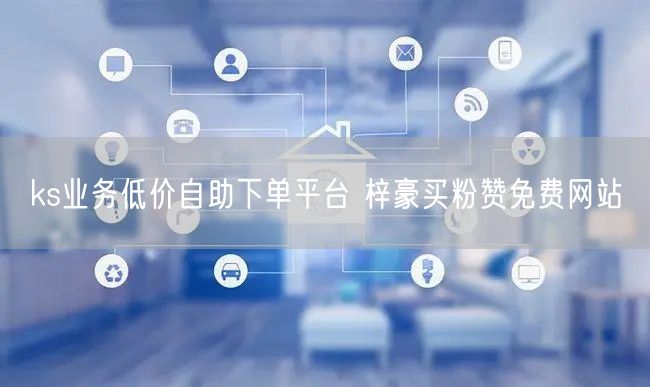 ks业务低价自助下单平台 梓豪买粉赞免费网站