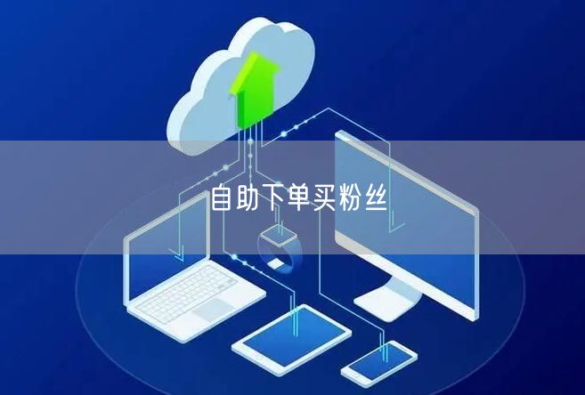 自助下单买粉丝