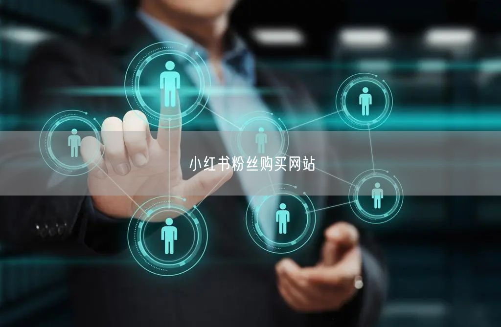 小红书粉丝购买网站