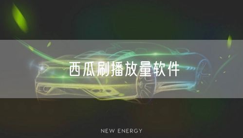 西瓜刷播放量软件